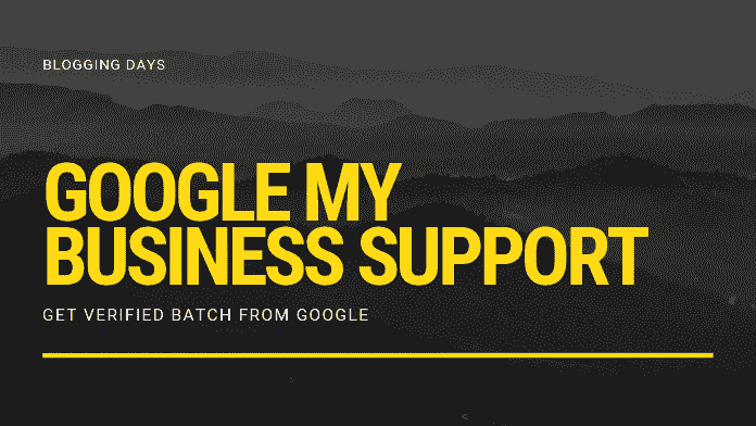 google my business phone support